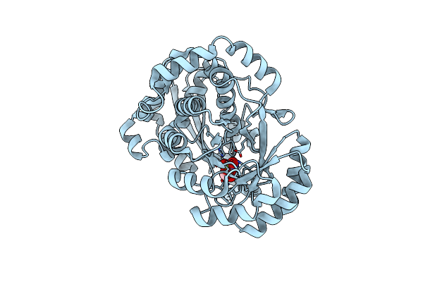 2HXT image