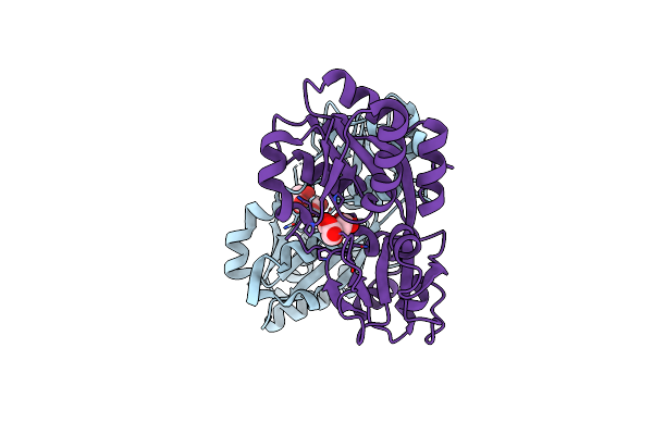 2HXW image