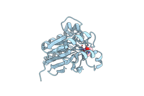 2HYP image
