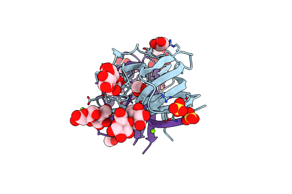 2HYR image