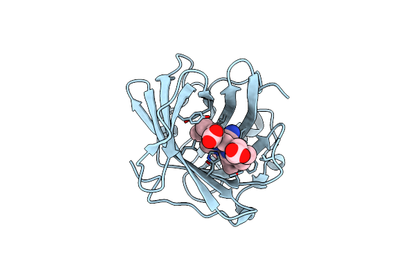 2HYS image