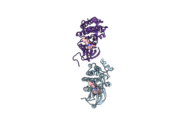 2HZ0 image