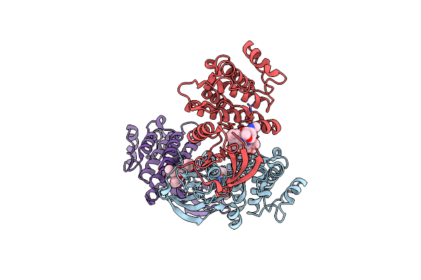 2HZ4 image