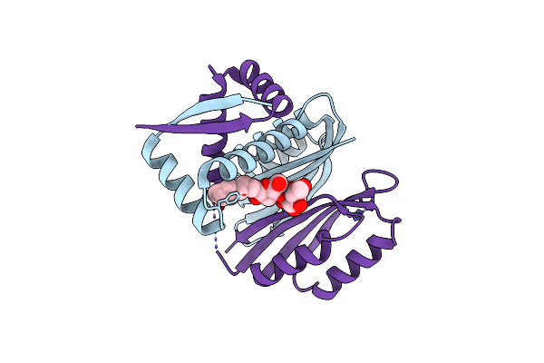 2HZA image