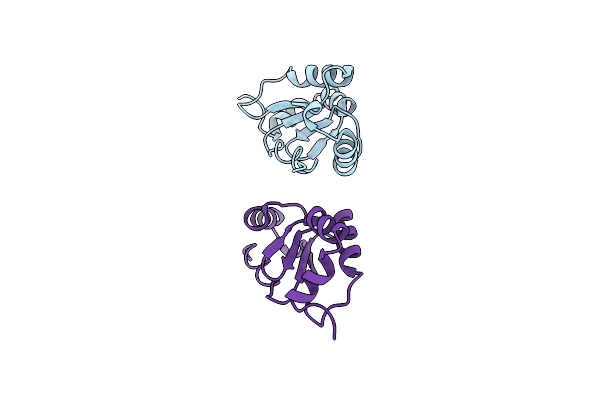 2HZE image