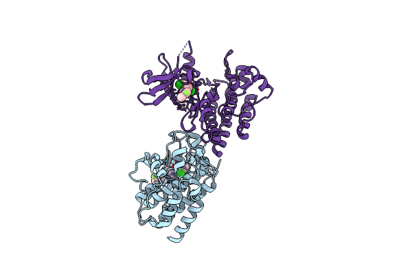 2HZI image