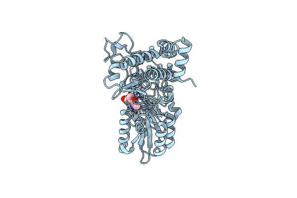 2HZP image