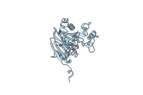 2I0O image