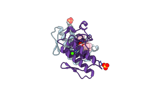 2I0U image