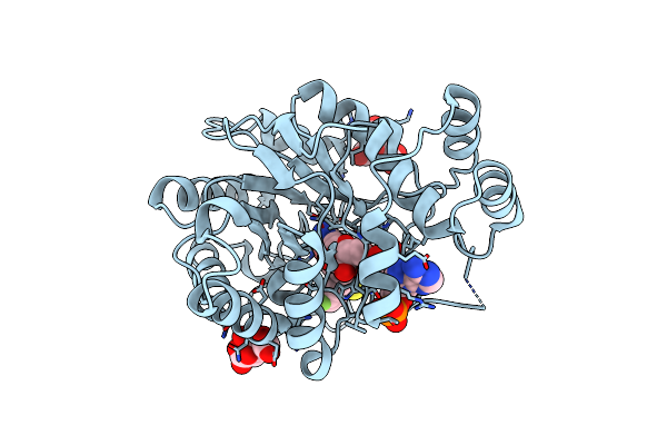 2I16 image