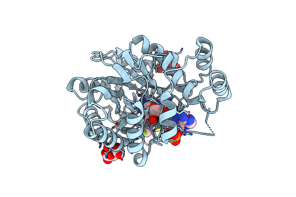 2I17 image
