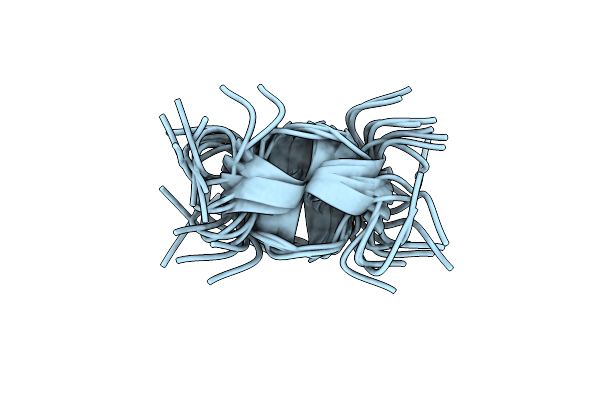 2I1E image