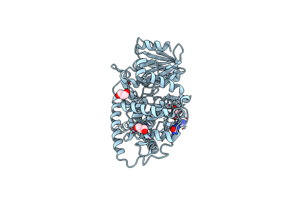 2I1J image