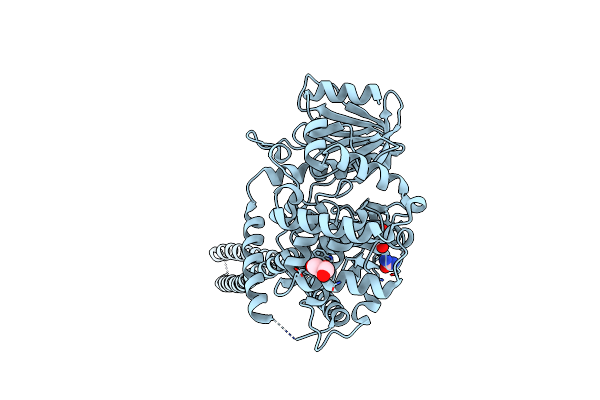 2I1K image