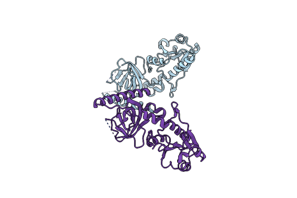 2I1L image
