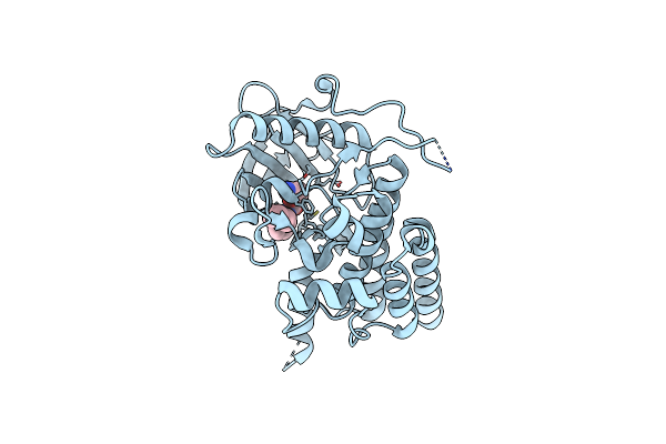 2I1M image