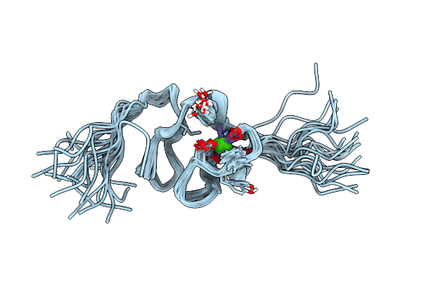 2I1P image