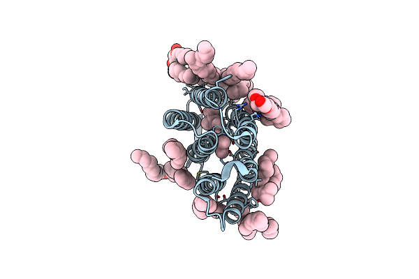 2I1X image