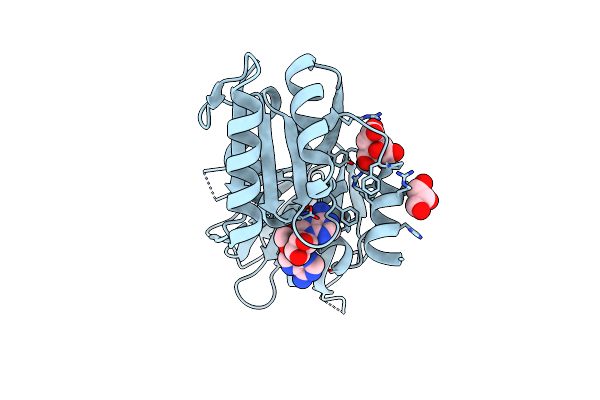 2I2B image