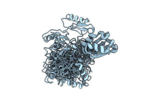2I38 image