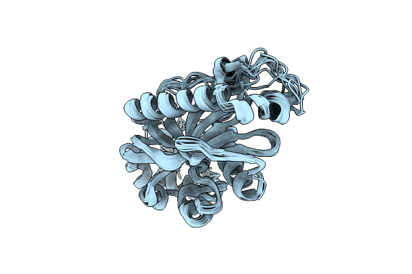2I3E image