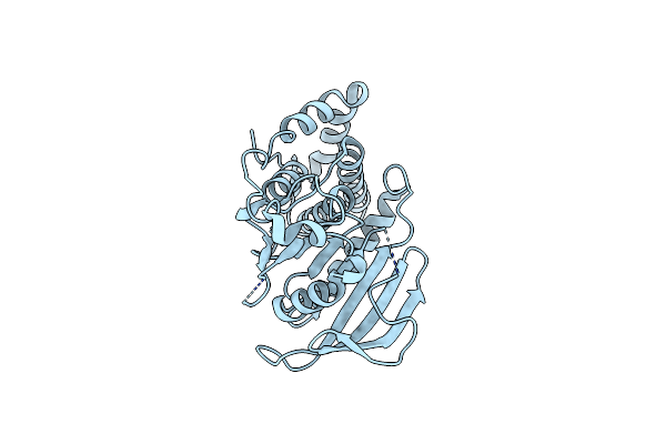 2I3U image