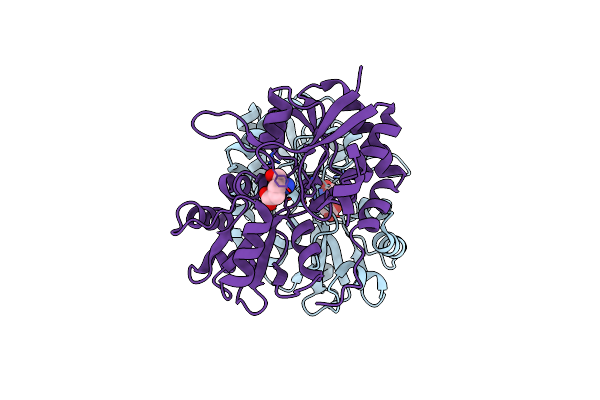 2I3W image