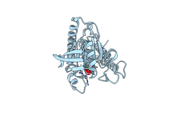 2I42 image