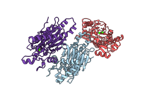 2I44 image