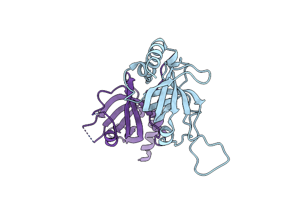 2I46 image