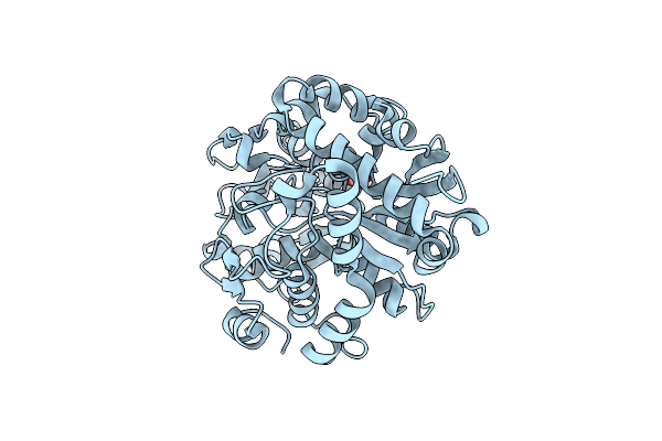 2I48 image