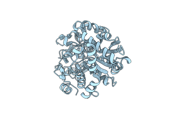 2I49 image