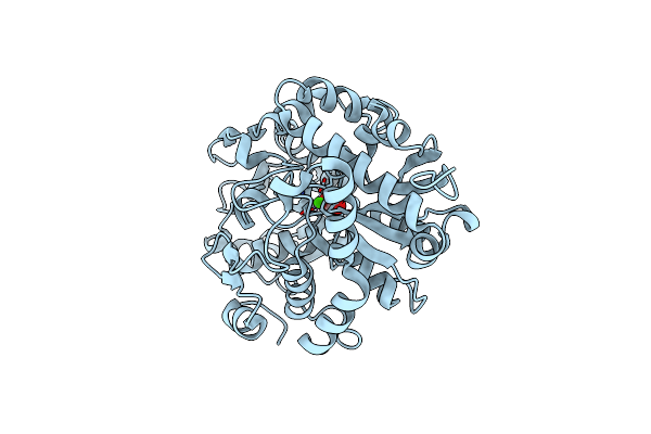 2I4B image