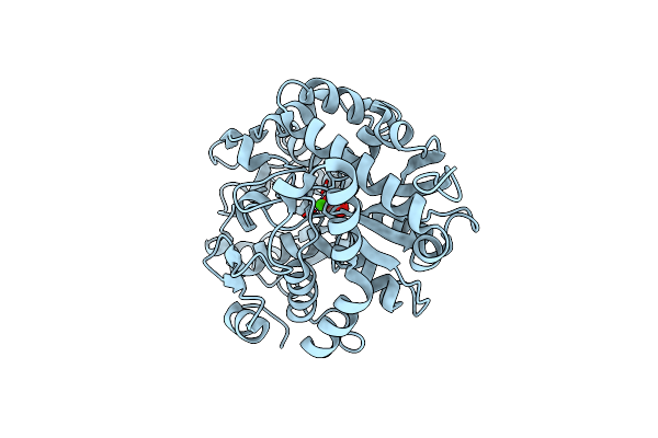 2I4C image