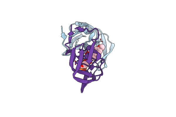 2I4D image