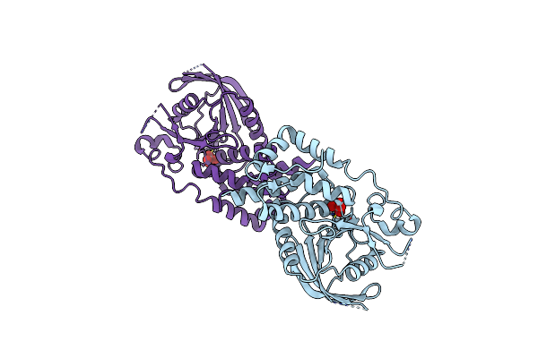 2I4E image