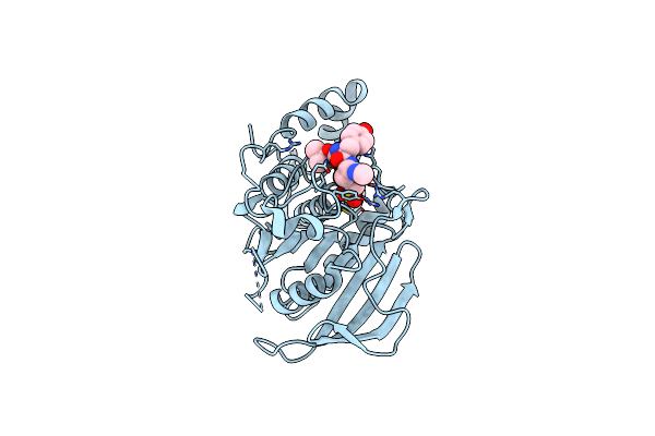 2I4G image