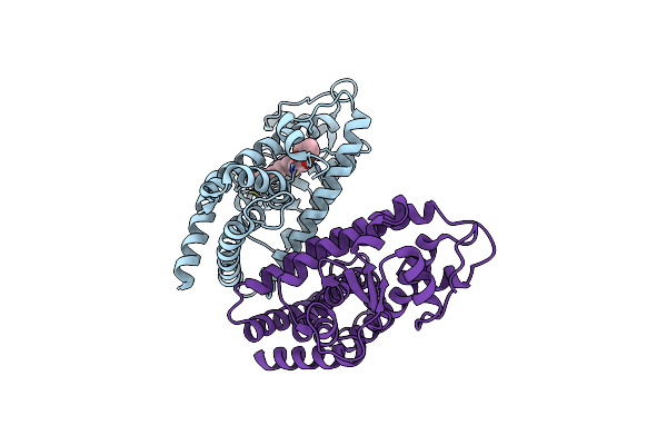 2I4J image