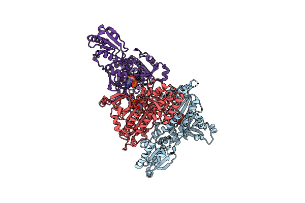 2I4O image