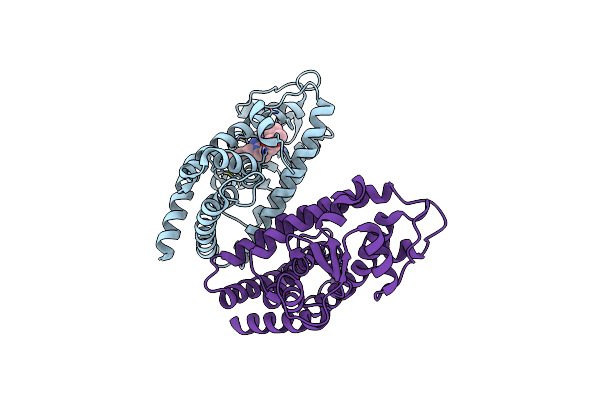 2I4P image