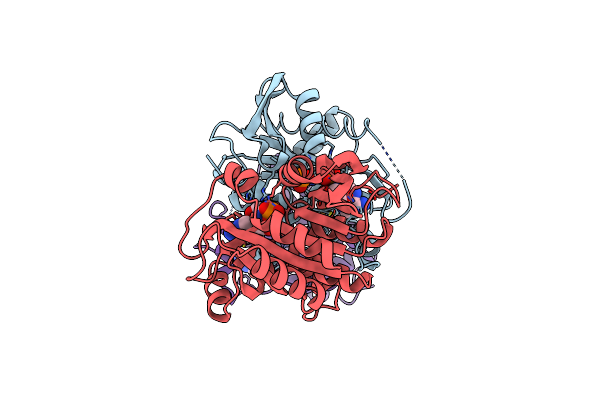 2I4T image