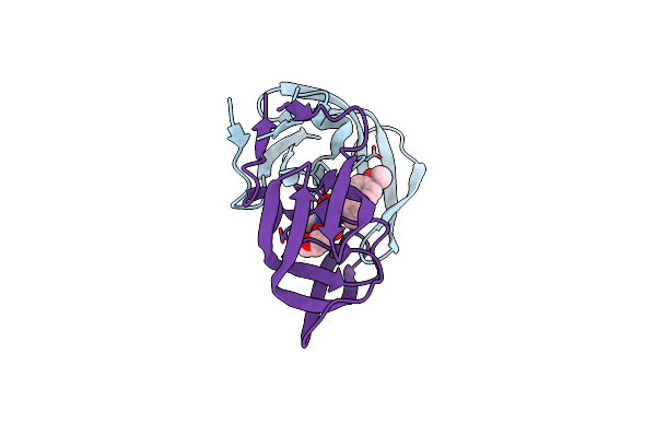 2I4U image