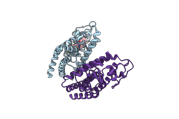 2I4Z image