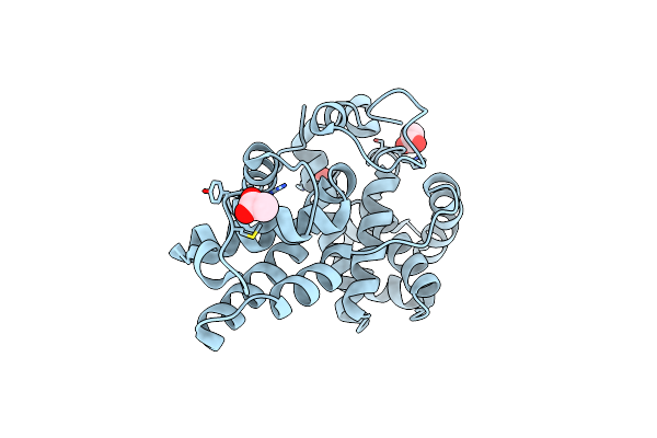 2I53 image