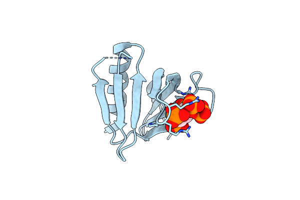 2I5F image