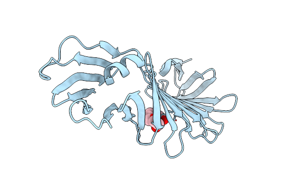 2I5Z image