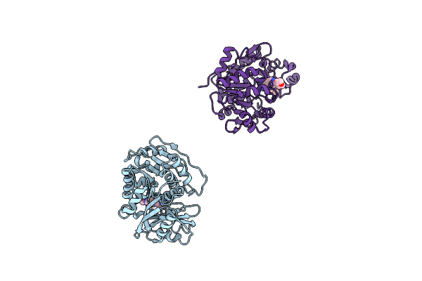 2I6B image