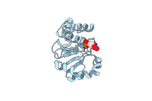 2I6P image