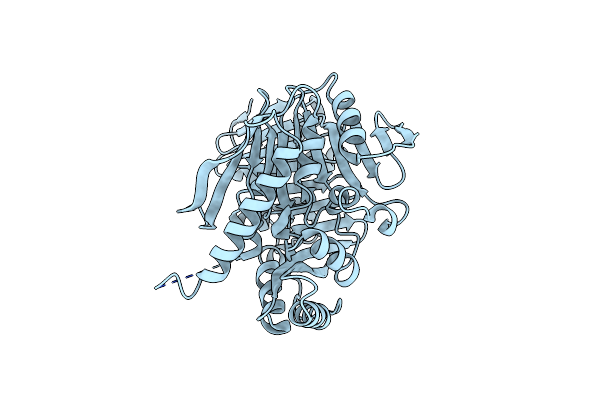2I6Y image