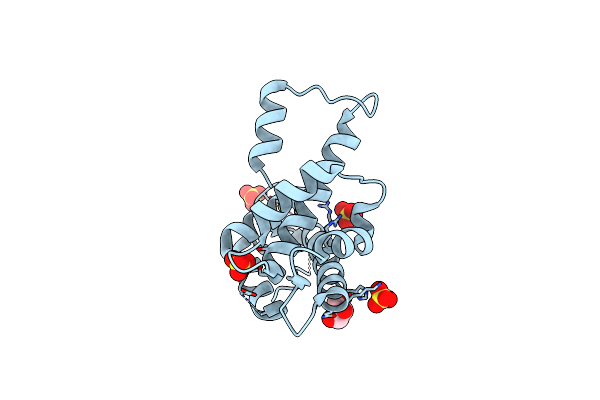 2I7A image